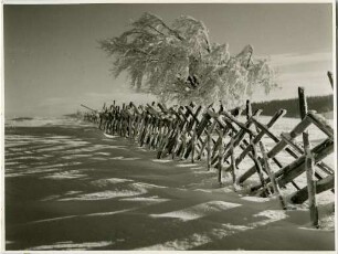 Winter am Schauinsland