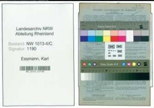 Entnazifizierung Karl Essmann , geb. 05.04.1896 (Malermeister)