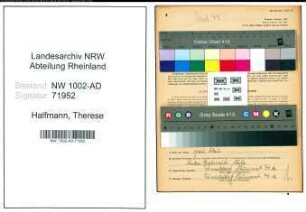 Entnazifizierung Therese Halfmann, geb. 30.11.1898 (Verw.Angest.)