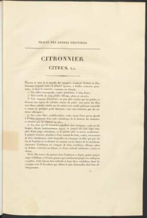 Citronnier. Citrus. Lin.