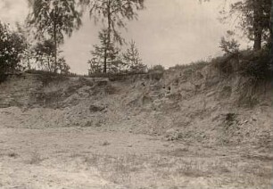 Tertiäre Sande, von Diluvium überlagert. Ablagerung der Eisrandlage (Altmoränengebiet, Elsterglaz.). Weinberg bei Würschnitz