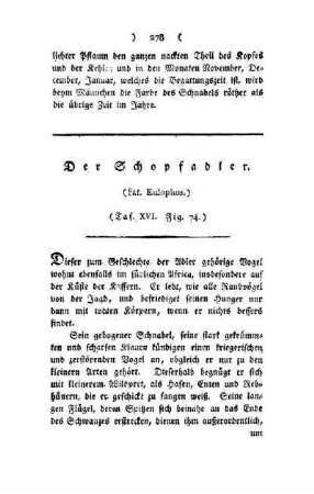 ¬Der¬ Schopfadler : (Lat. Eulophos) ; Taf. XVI, Fig. 74