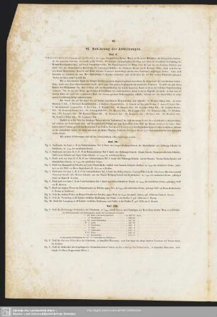 VI. Erklärung der Abbildungen