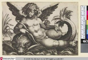 [Amor mit Köcher und Bogen auf einem Delphin nach links]