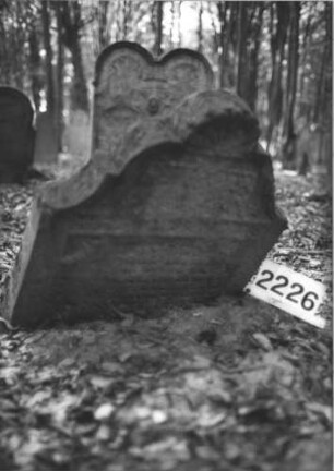 Grabstein 2226