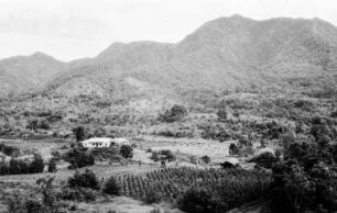 Ndara Pflanzung : Blick über eine Plantage mit Haus in einem Tal. Im Hintergrund Berge.