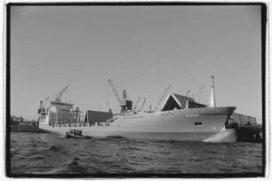 Nova (1995), Rainer Drevin, Hamburg