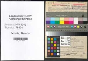 Entnazifizierung Theodor Schulte , geb. 20.09.1886 (Beamter)
