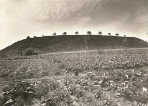 Leckwitzer Schanze südlich von Riesa, slawische Wallanlage, sog. Schwedenschanze, Nordseite