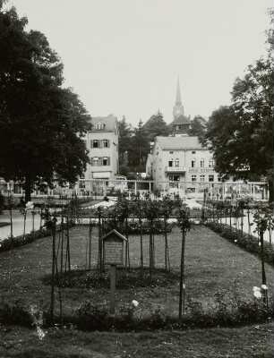 Bad Elster, Rosengarten : Bad Elster. Rosengarten. Blick gegen den Turm der Stadtkirche Sankt Trinitatis