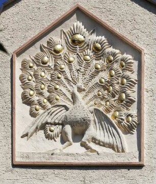 Pfau