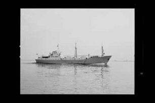 Athene (1959), Livestock carrier, Cimbria Reederei AG, Lübeck, Bau-Nr. 5274