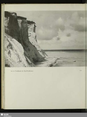 133 An der Nordküste der Insel Hiddensee