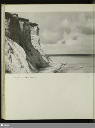 133 An der Nordküste der Insel Hiddensee