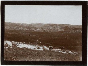 Bei 'en el-Radub (vor bet nettif) Blick n. NO (Nordende des w. [wadi] es-sur, Anstieg des jud. Hochland])
