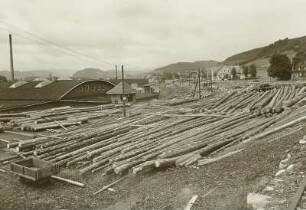 Sägewerk : Sägewerk, Neustadt bei Donaueschingen. Lagerplatz der geschälten Stämme vor der Verabeitung