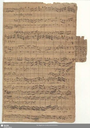 Alfonso. Excerpts - Mus.2477-F-515 : V (2), strings, bc