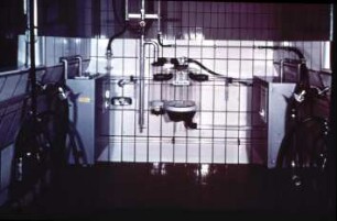 Fotografie: Melktechnik, Melkstand