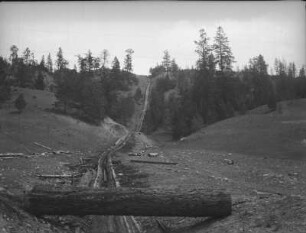 Vorrichtung zum Holztransport : Eine Vorrichtung zum Holztransport im Tal nahe der kanadischen Stadt Vernon.