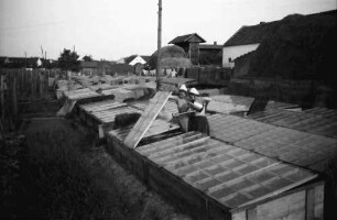 Aradul Nou: Frühbeet, Glasgedeckt
