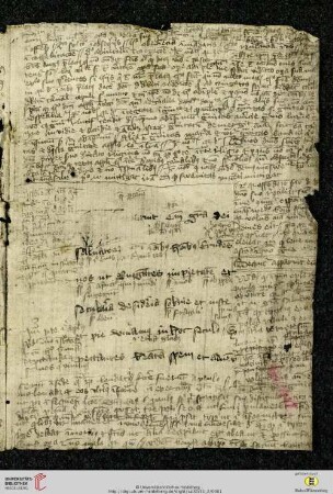 Biblia sacra cum glossis