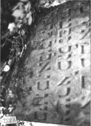 Grabstein 258 (Index: 99799909) Material: Sandstein Zustand: stark verwittert, leicht eingesunken Maße HxBxT: 83x62x9 cm Beschreibung: Stele, eingezogener Rundbogenabschluß Symbolik: Levitenkanne: Grabstein 258A