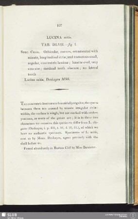Lucina mitis. Tab. DLVII.—fig. 1