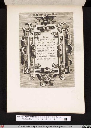 Fortitudinis absque iustitia nullus est usus. At si omnes iusti fierent, fortitudine nihil indigeremus.