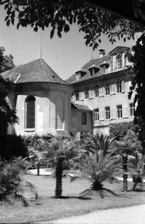 Mainau, Insel Mainau: Schlosskapelle und Palmen