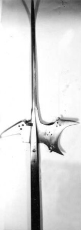 Hellebarde (C 5311)