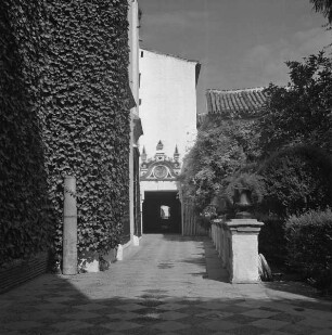 Galerie Don Pedro