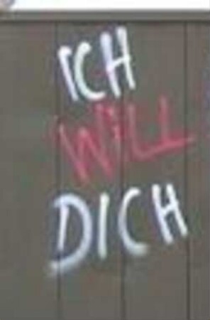 ICH WiLL DICH