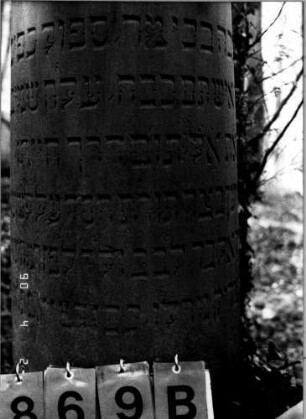 Grabstein 869 (neu: 70): Grabstein 869B (neu: 70)