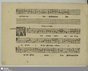 XXXIII. Clemens non Papa, Jacobus: Aperi Domine oculos tuos