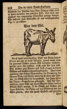 258-269, Von dem Esel. - Von dem Rind-Viehe.