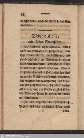 Siebente Klasse: mit sieben Staubfäden