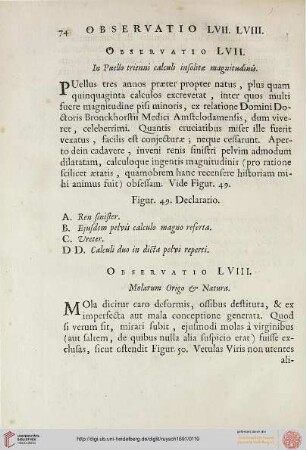Observatio LVIII