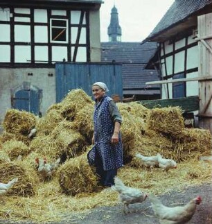 Landleben. Bäuerin : Altmörbitz. Portrait einer alten Bäuerin auf ihrem Hof zwischen Stroh und Hühnern