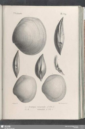 Pl. 379