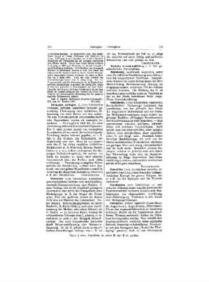 Constitution