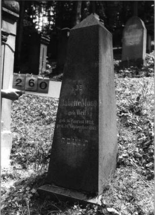 Grabstein 260 (Index: 99790210) Maße HxBxT: 143x30x25 cm: Grabstein 260