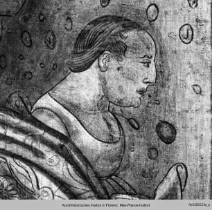 Ausmalung des Salone : Dekoration der Balkendecke