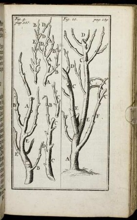 Fig. 9. pag. 157. - Fig. 10. pag. 159.