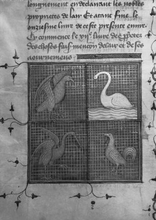 Livre des propriétés des choses / De propriétés rerum — Beginn des 12. Buches: Livre des proprietes des choses fait mancion de l'air et de ses mouvemens, Folio fol. 209 v