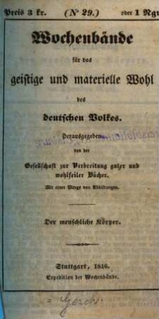 Beschreibung des menschlichen Körpers