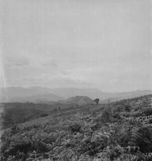 Panoramaaufnahme : Panorama der Virunga Vulkankette am Ostafrikanischen Grabenbruch in Richtung Nordwesten