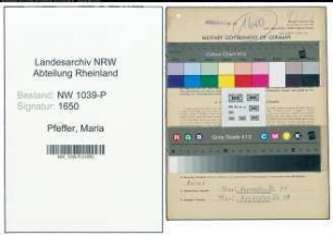 Entnazifizierung Maria Pfeffer , geb. 07.09.1904 ()