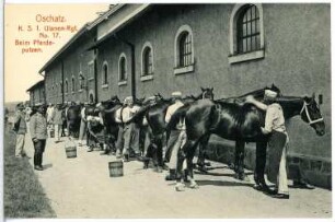 Oschatz..K.S. 1.Ulanen-Regt. No. 17 - Beim Pferdeputzen