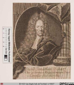 Bildnis David Jonathan Scharff