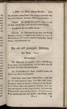 Die ein und zwanzigste Gattung. Die Meve.